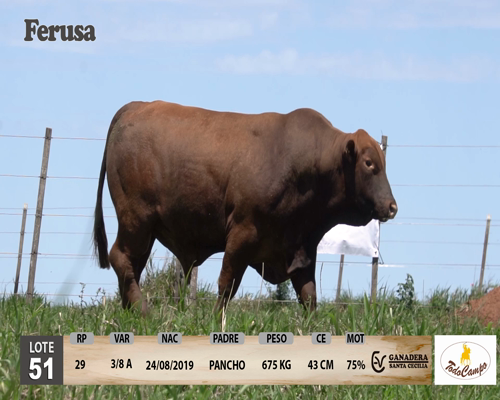 Lote Ganadera Santa Cecilia - Lote 51