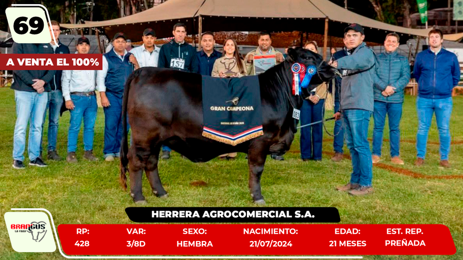 Lote LOTE 69