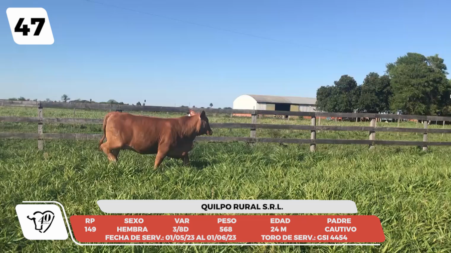 Lote LOTE 47-DE CAMPO