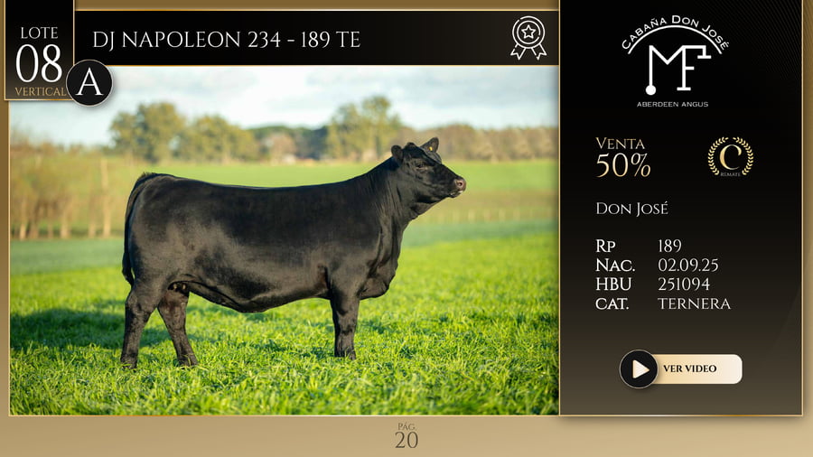 Lote DJ NAPOLEON 234 - 189 TE