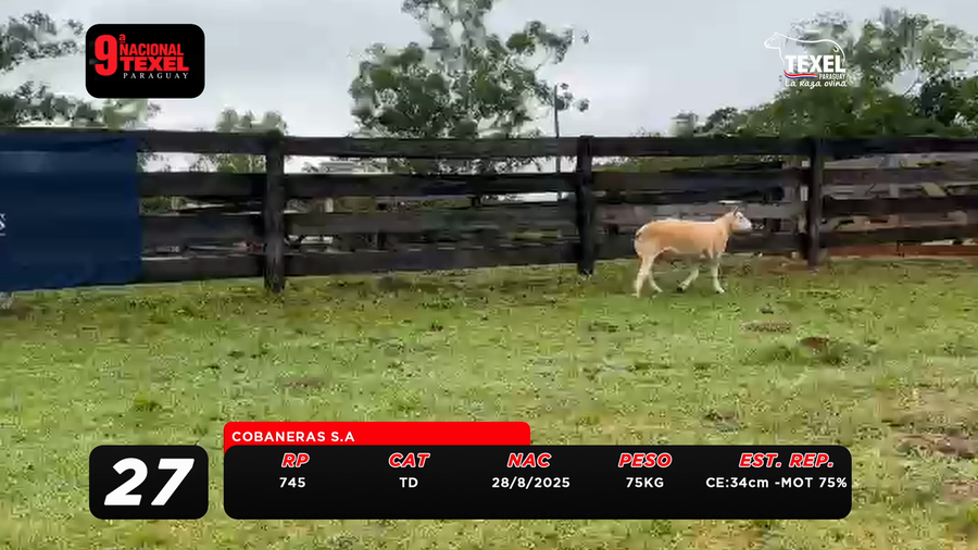 Lote LOTE 27