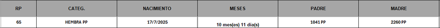 Lote LOTE 1
