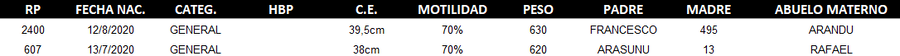 Lote LOTE 48 - DUO
