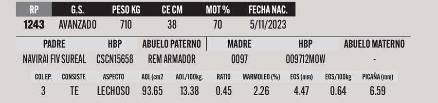 Lote LOTE 29