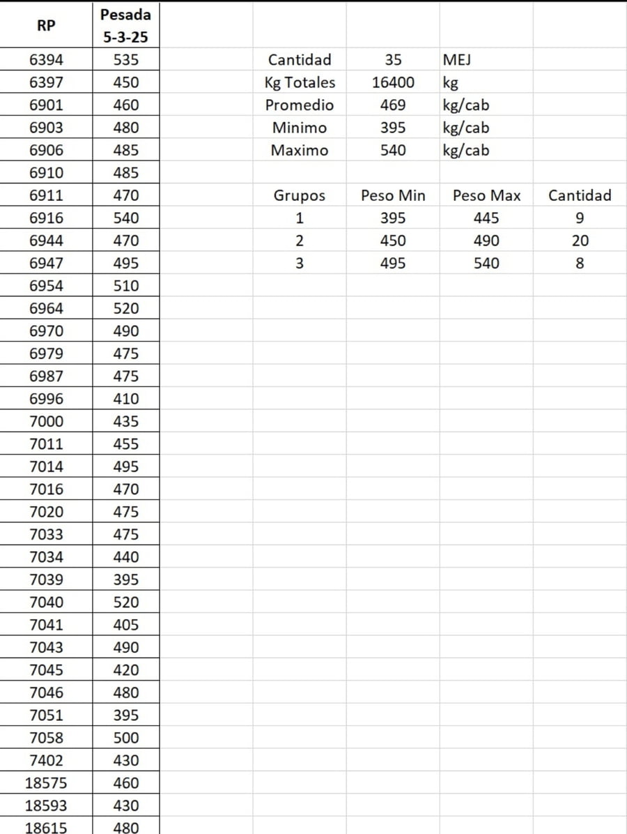 Lote 35 Macho Entero Joven en Santa Fe, Maggiolo