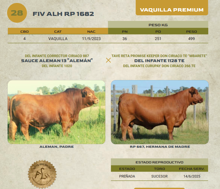 Lote LOTE 28