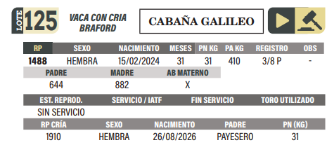 Lote LOTE 125