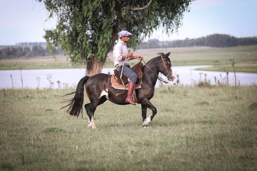 Lote Viruca La Magdalena