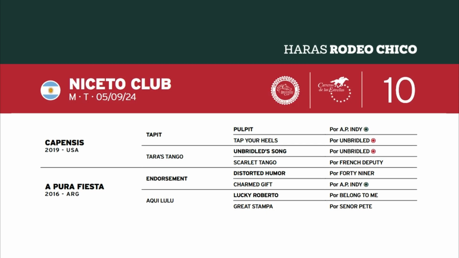 Lote NICETO CLUB