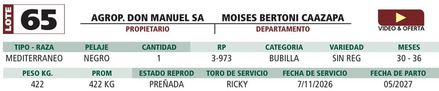 Lote LOTE 65