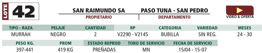 Lote LOTE 42