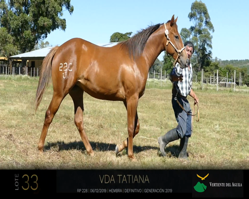 Lote VDA TATIANA