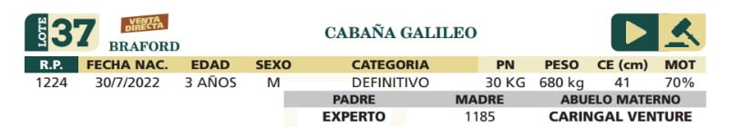 Lote LOTE 37