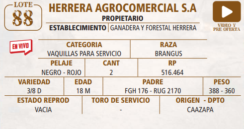 Lote LOTE 88 -EN VIVO