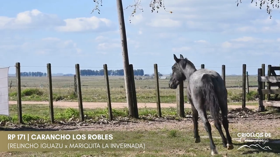 Lote Carancho de los Robles