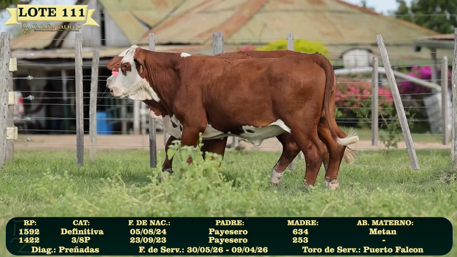 Lote LOTE 111