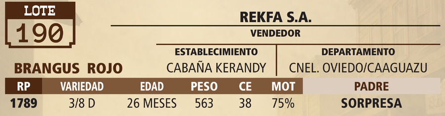 Lote LOTE 190 - VIVO