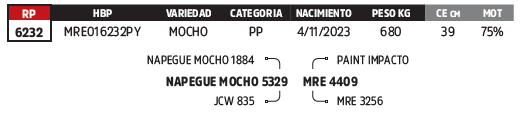 Lote LOTE 60