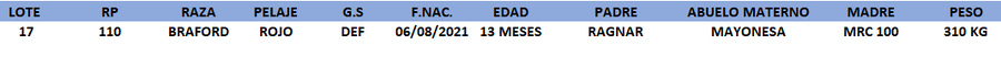 Lote LOTE 17