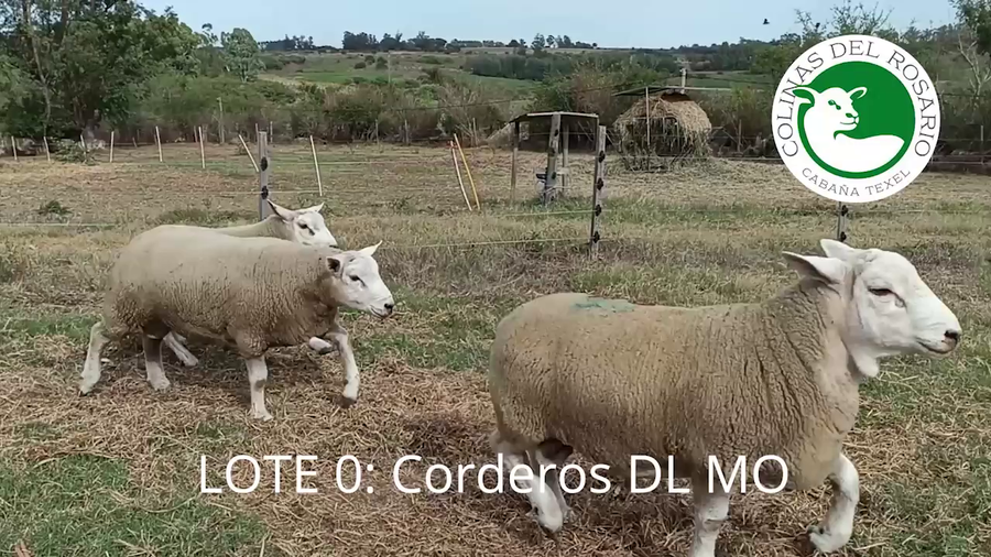 Lote Lote 0 - Colinas del Rosario