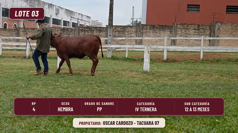 Lote LOTE 3