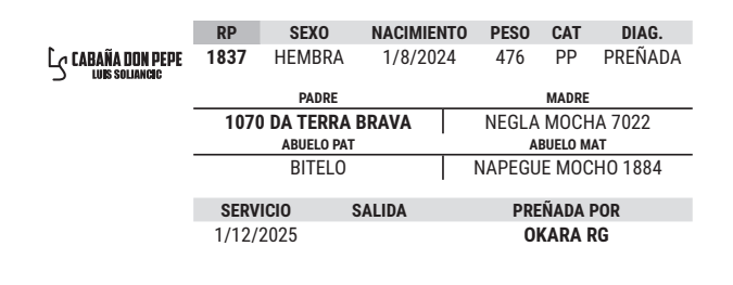 Lote LOTE 4
