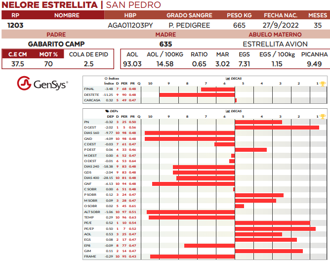 Lote LOTE 23