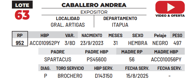 Lote LOTE 63 -DE CAMPO