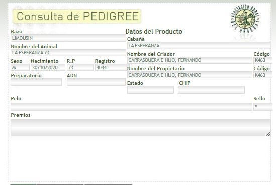 Lote TORO PI - RP 73