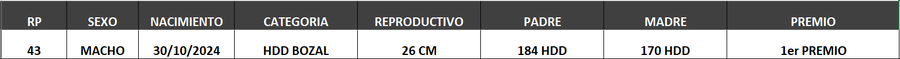 Lote LOTE 20- BOZAL