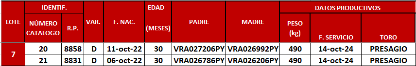Lote LOTE 7
