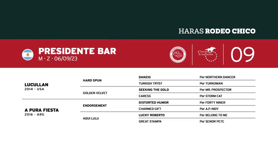 Lote PRESIDENTE BAR