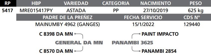 Lote LOTE  44-RP 5417
