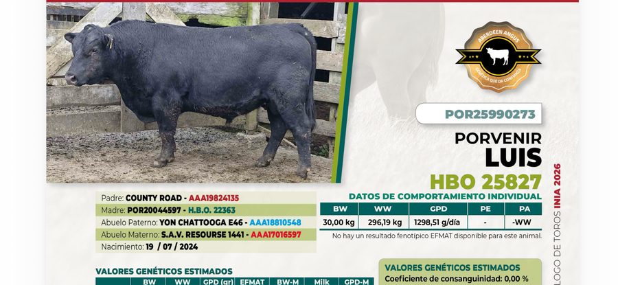 Lote 1 Toro LUIS DIIO 0273