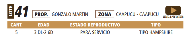 Lote LOTE 41 -POR PANTALLA