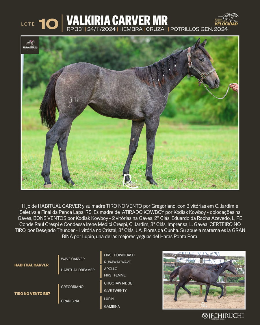 Lote VALKIRIACARVER MR