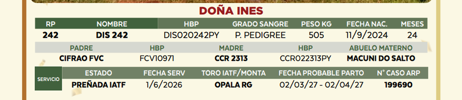 Lote LOTE 40