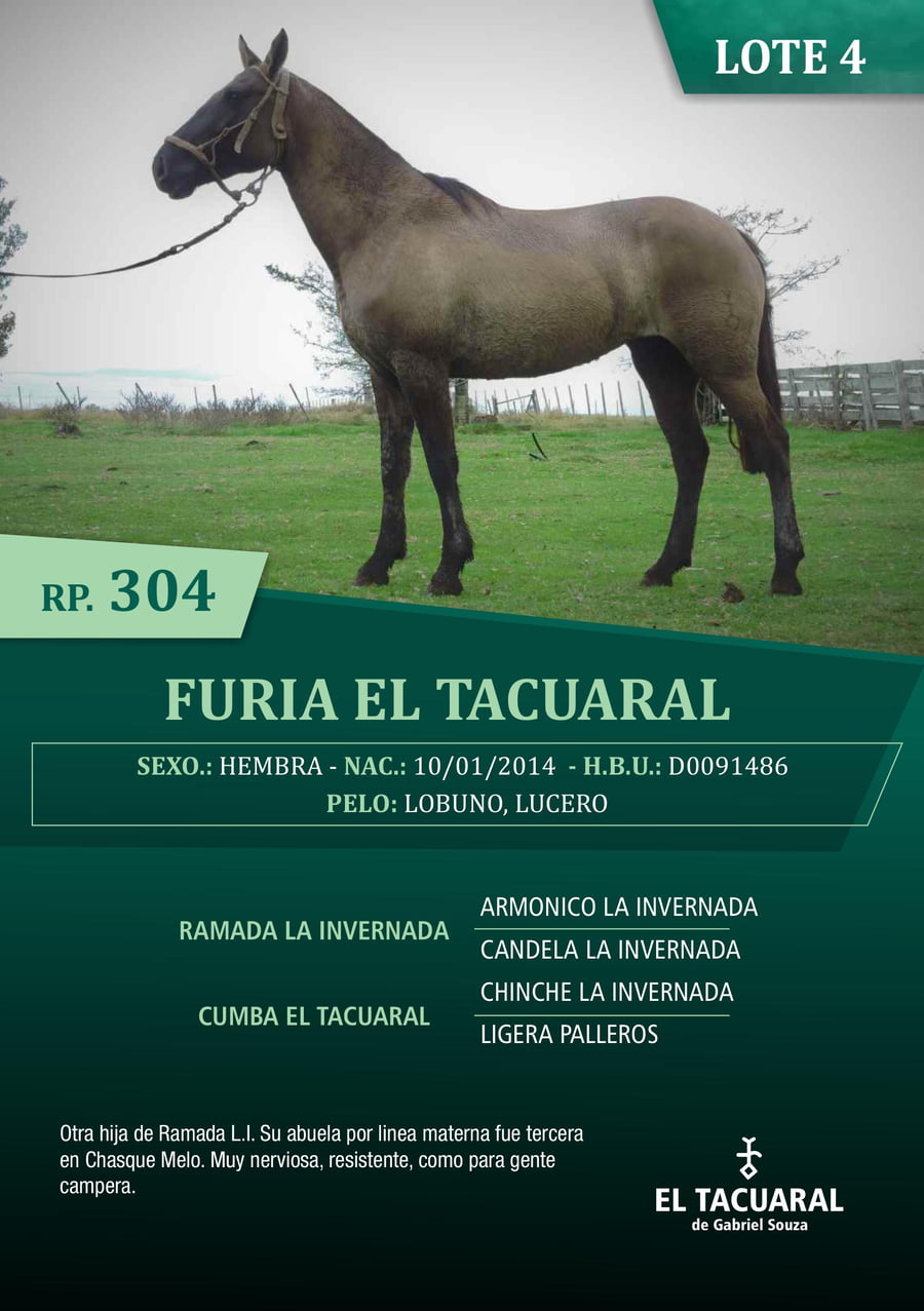 Lote FURIA EL TACUARAL - R.P. 304