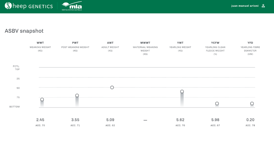 Lote Carnero TOP, 21-1324
