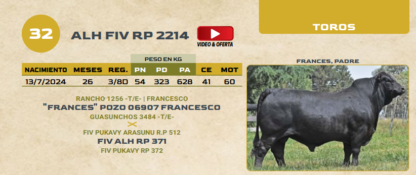 Lote LOTE 32