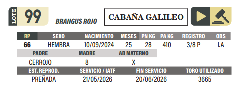 Lote LOTE 99