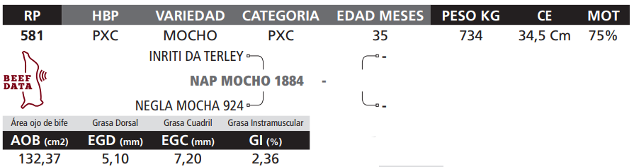 Lote LOTE 38