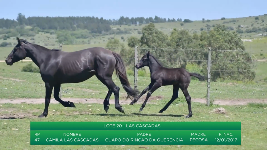 Lote Camila Las Cascadas
