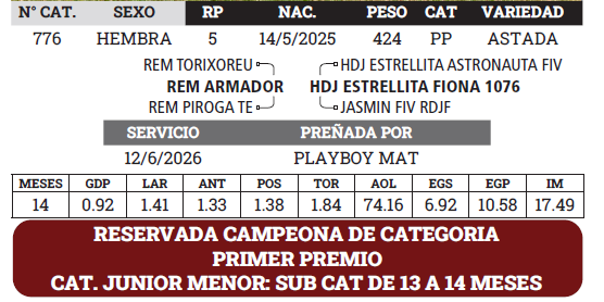 Lote LOTE 7 - BOZAL