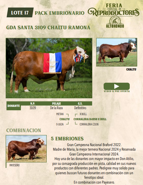 Lote LOTE 17