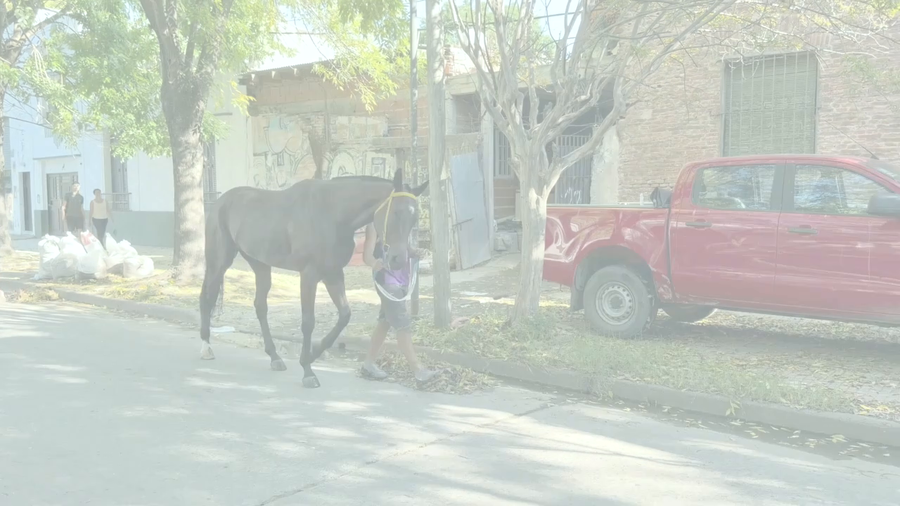 Lote BELLE CHANSON (IN THE DARK -  BEAUTY MUSIC) EN TRAINING
