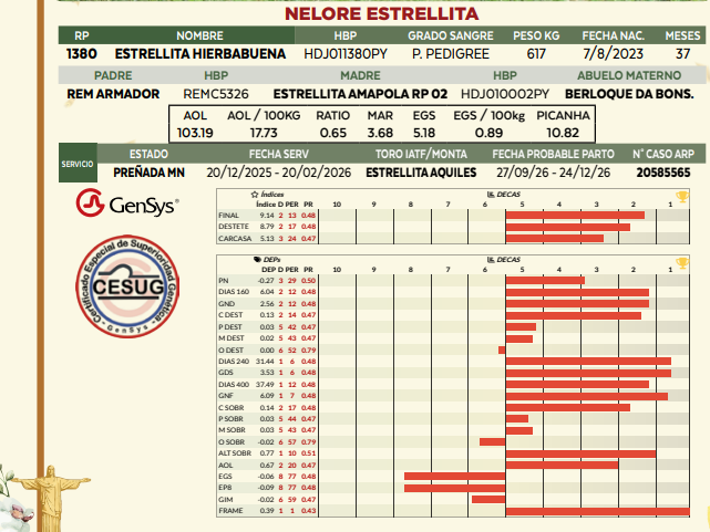 Lote LOTE 30