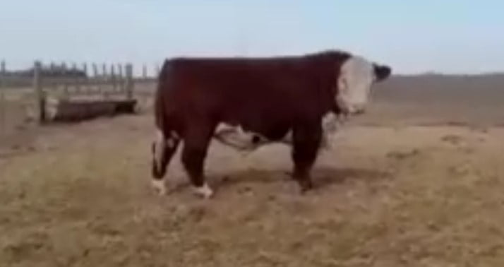 Lote CABAÑA MI PARAISO