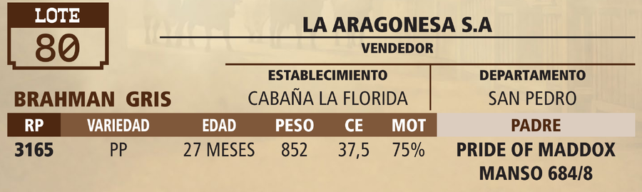 Lote LOTE 80 - VIVO