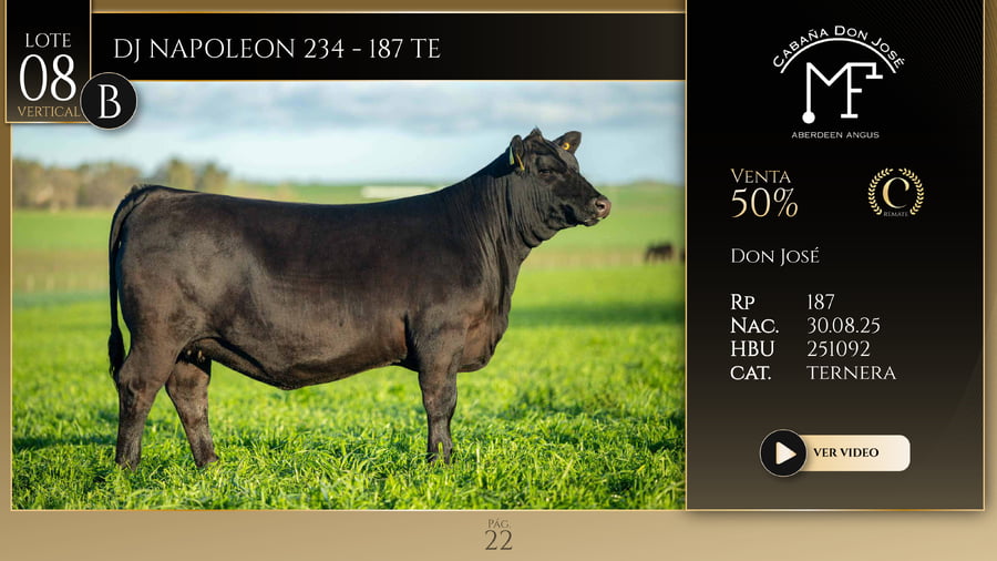 Lote DJ NAPOLEON 234 - 187 TE